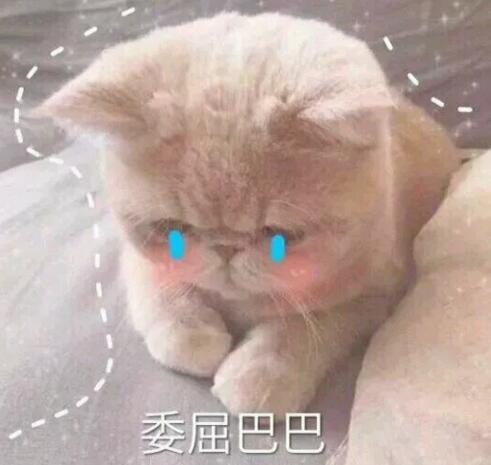 真正的祛皱精华 (nassif md补水祛皱精华)