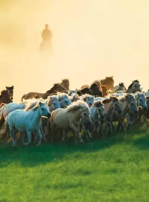 国内5个最值得去的小众旅行地,7个惊艳小众旅行地建议收藏哦