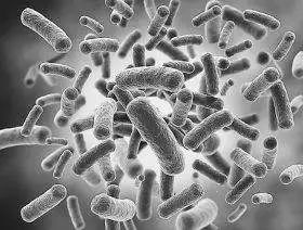 当心“冰箱杀手”!苏州孕妇馋嘴冰镇小龙虾,遭感染紧急剖宫产