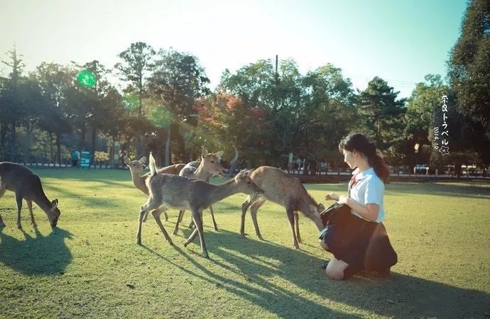 日本关西攻略自由行 (日本关西5日游精品路线推荐)
