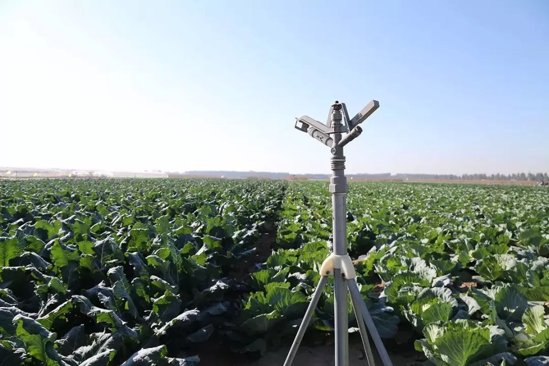 国家对智慧农业的最新政策,智慧农业政策汇总