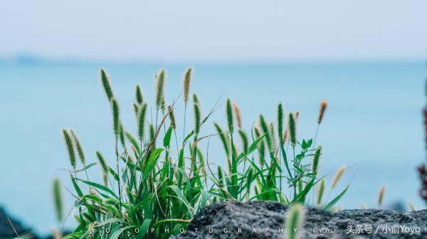 夏天济州岛旅游攻略,夏游济州岛