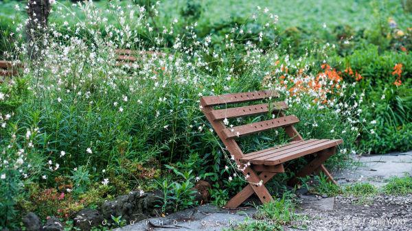 夏天济州岛旅游攻略,夏游济州岛