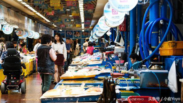 夏天济州岛旅游攻略,夏游济州岛