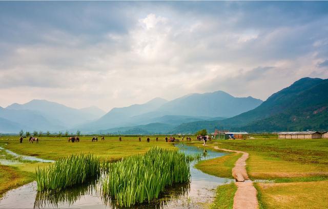 丽江拉市海骑马,丽江划船旅游攻略