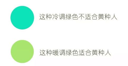 平价彩妆绿色眼影,绿色眼影怎么画好看