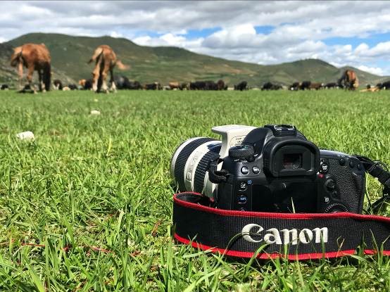 EOS看世界选择,让你看到如此不同的摩登新语