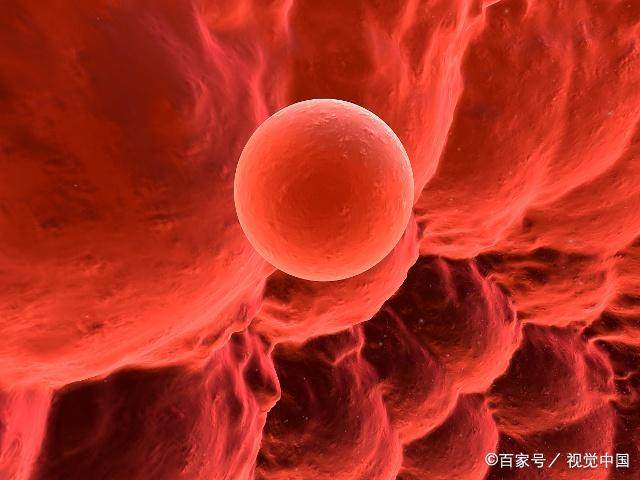 如何判断排卵期？不用算日子，不用买试纸，这个方法简单好用