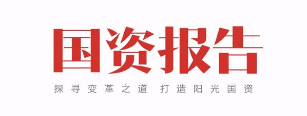 鍥芥湁浼佷笟闆嗕腑缁熶竴鐩戠,鍥芥湁浼佷笟缁熶竴鐩戠鏂规
