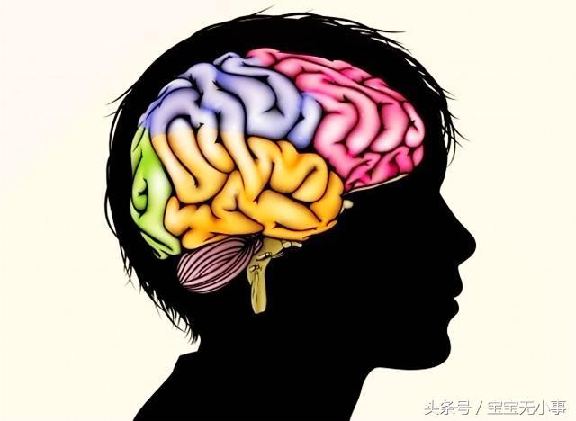 孩子喜欢用左手是右脑发达吗,小孩子喜欢用左手需要改正过来吗