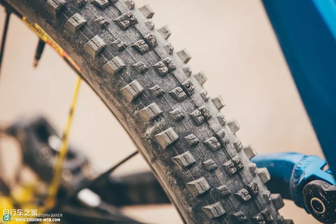 谁可登上德意志第一的宝座？CanyonTorque对决YTCapra