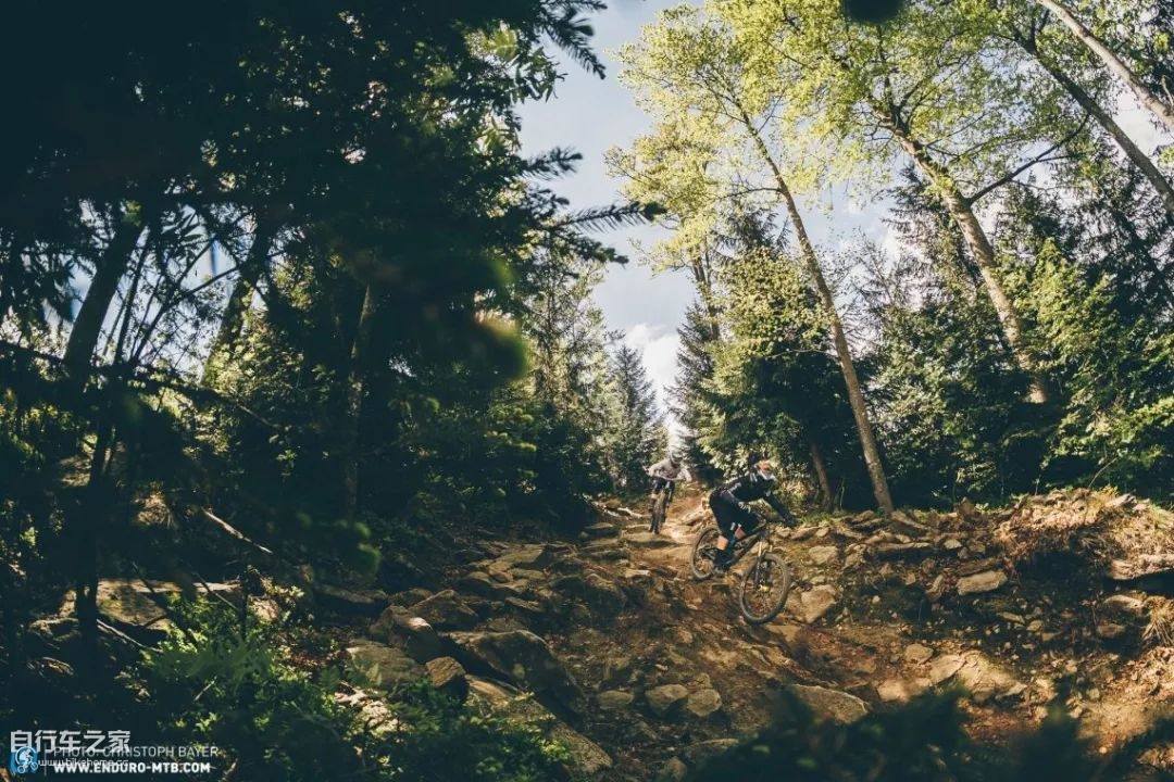 谁可登上德意志第一的宝座？CanyonTorque对决YTCapra