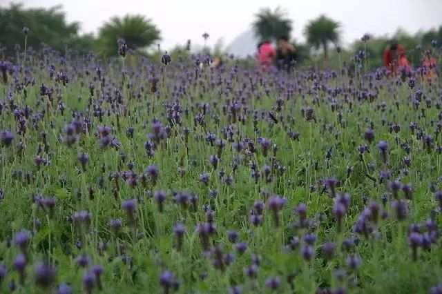 孩子们放暑假出门旅游攻略,暑假旅游攻略去哪儿玩