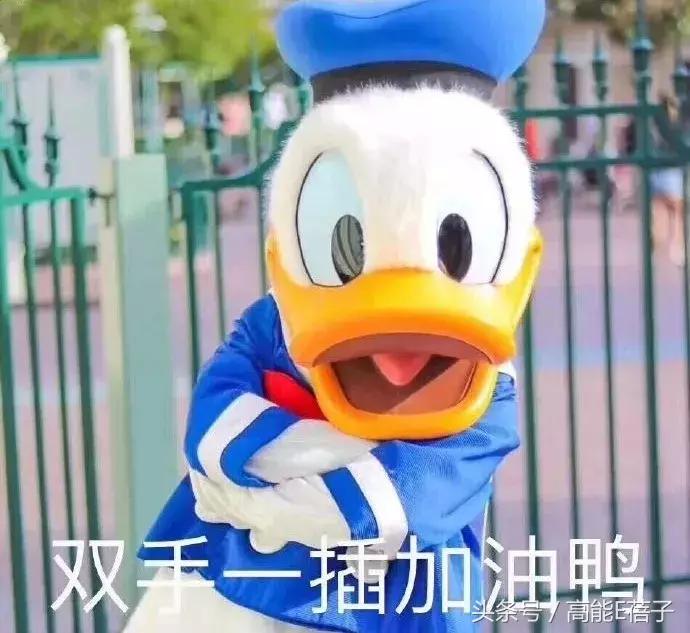 鹿哥鹿嫂最新消息,鹿哥鹿嫂离婚原因