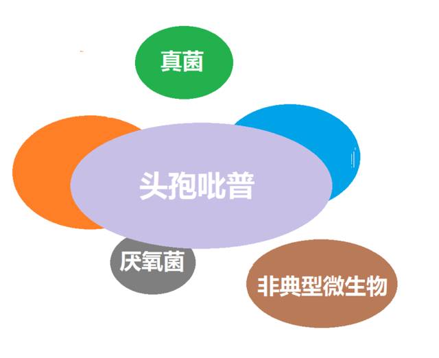 看图“话”抗菌谱，赶紧收藏！