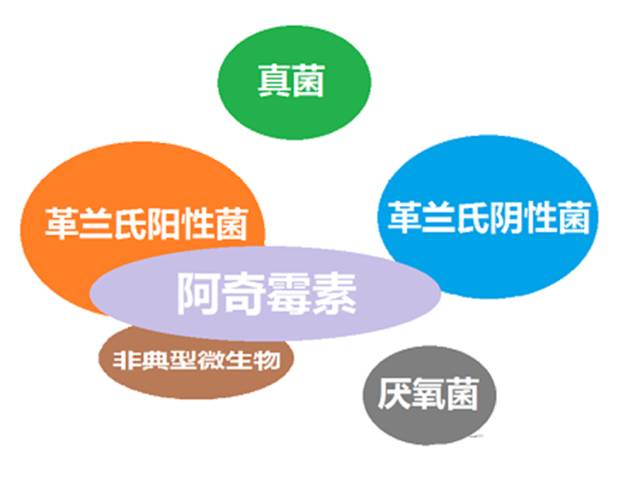 看图“话”抗菌谱，赶紧收藏！