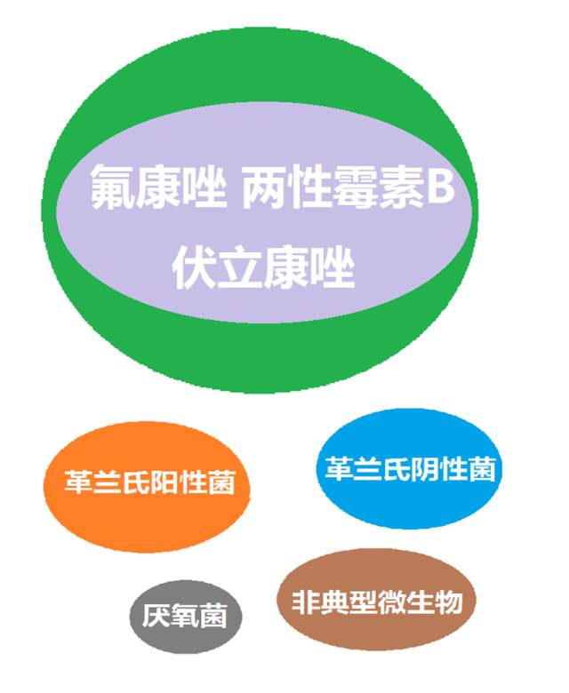 看图“话”抗菌谱，赶紧收藏！