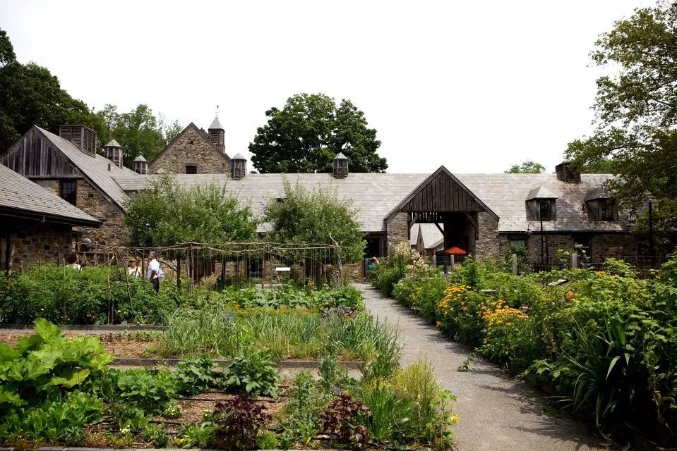 这家奇葩餐厅“坑”了中国食客，却征服了米其林食探，连奥巴马夫妇都是它的粉丝！