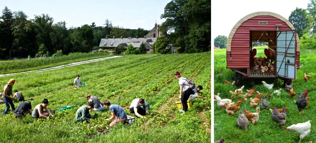 这家奇葩餐厅“坑”了中国食客，却征服了米其林食探，连奥巴马夫妇都是它的粉丝！
