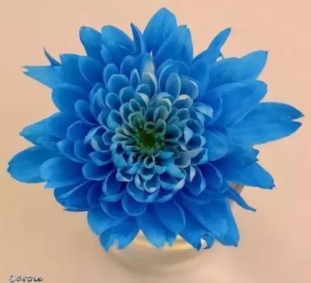 今天是7月26日,千载难逢的要顺日,吉利的祝福送给你,越快打开越好