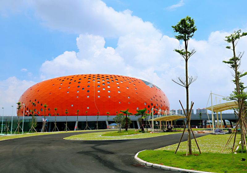 「省运」本届省运会最强攻略出炉！轻松观赛点击此处