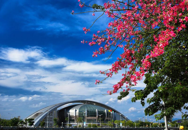 「省运」本届省运会最强攻略出炉！轻松观赛点击此处