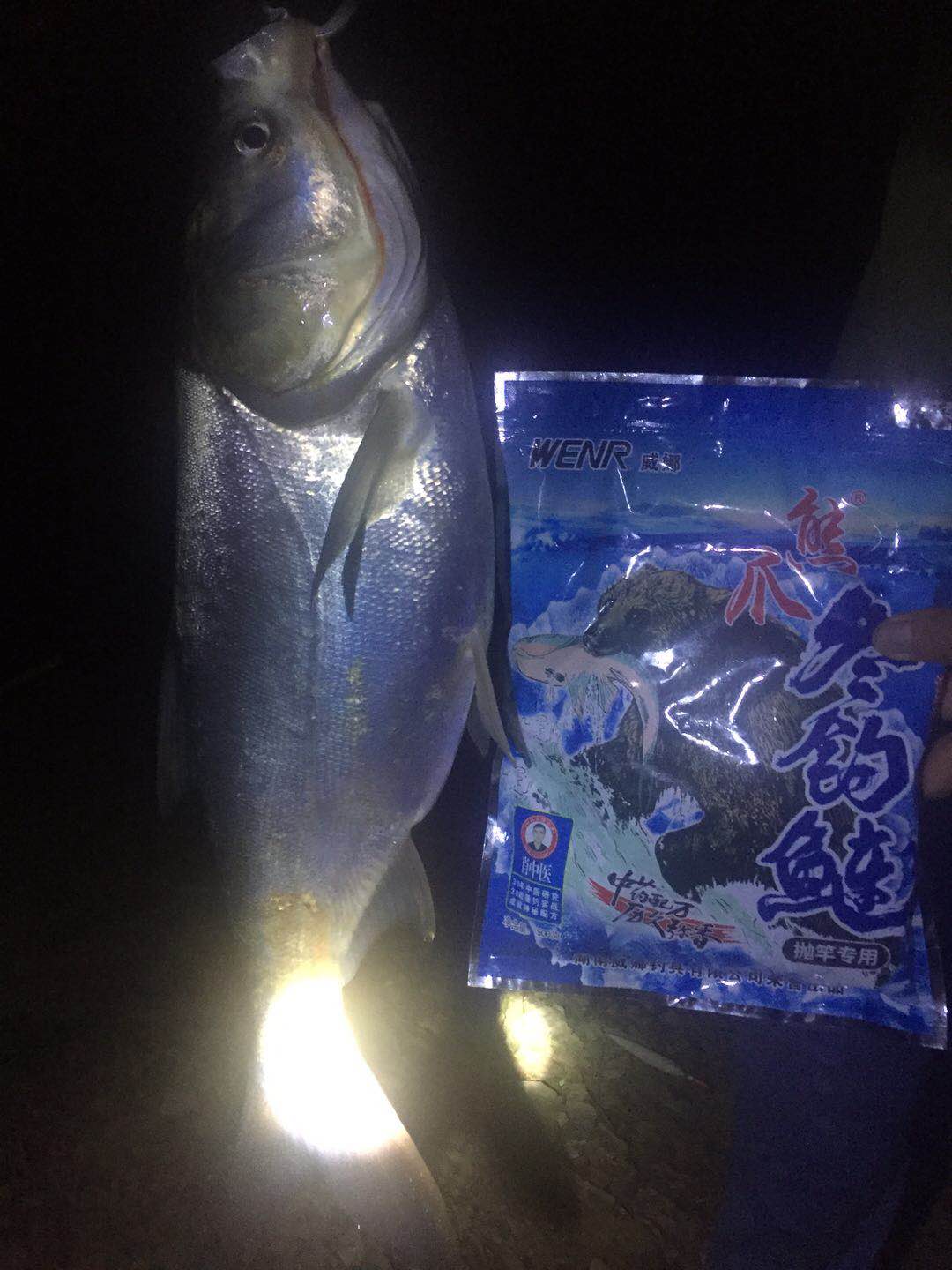 太平湖钓鲢鳙最新收获,大型自然水域钓鲢鳙实战