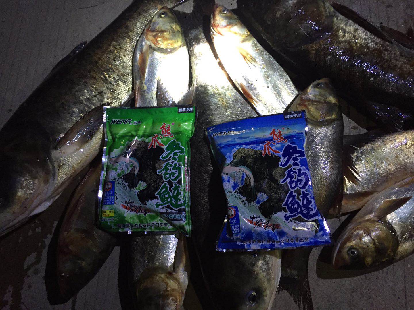 太平湖钓鲢鳙最新收获,大型自然水域钓鲢鳙实战