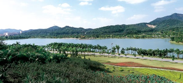 广州真正值得去的地方,广州都有哪些好去处