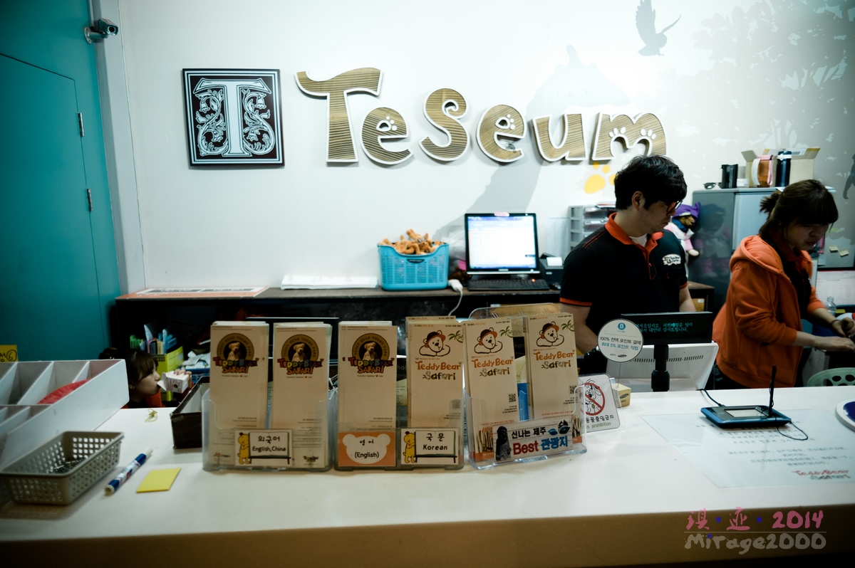 泰迪熊博物馆济州岛拍照攻略,济州岛假泰迪熊博物馆