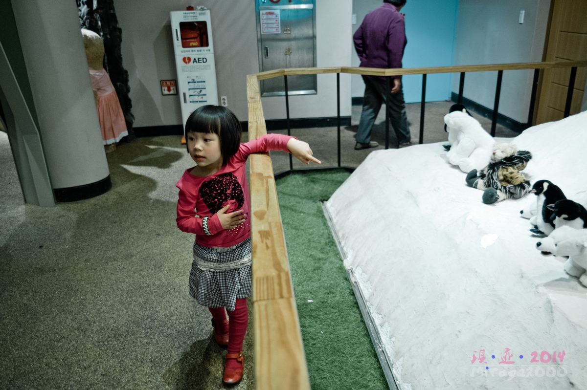 泰迪熊博物馆济州岛拍照攻略,济州岛假泰迪熊博物馆