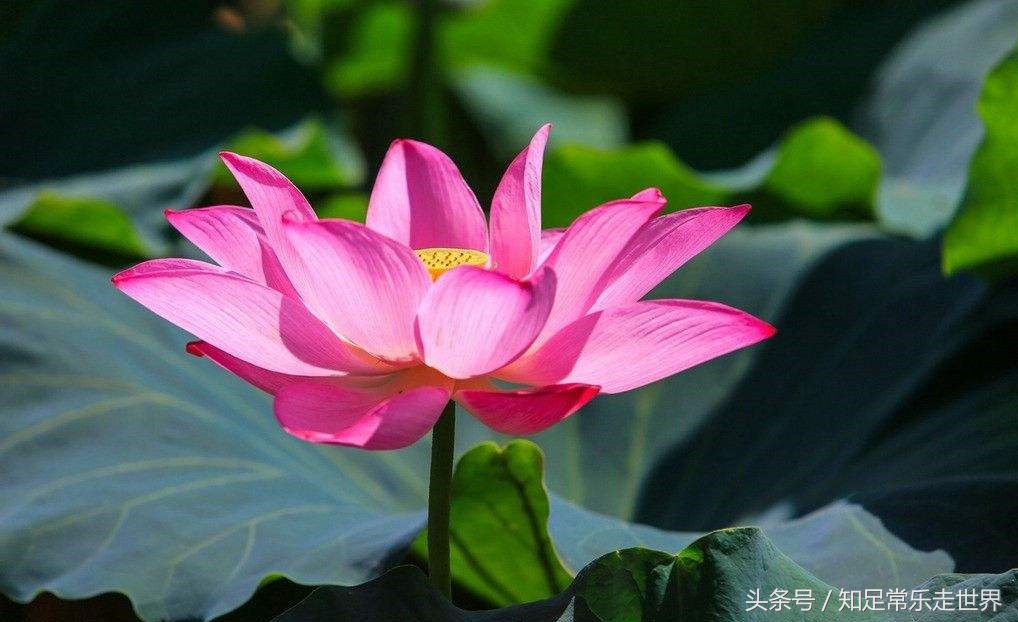 保持本心的最佳方法,人的本性可以克制吗