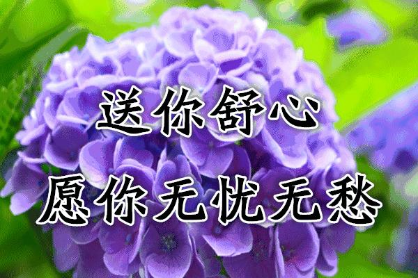 抽空烦恼明台镜！