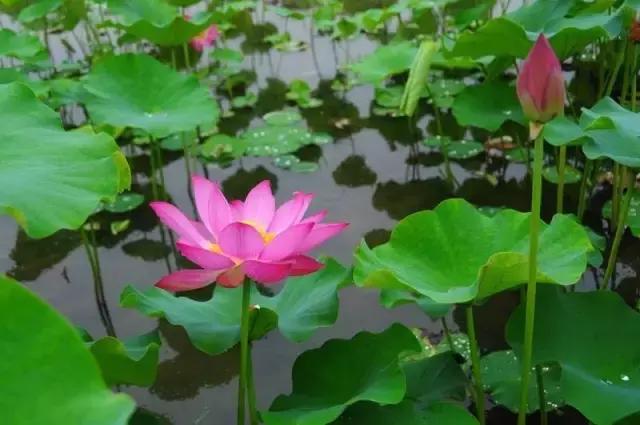 西安自驾4-5天最佳线路攻略,周末西安自驾游最佳路线推荐