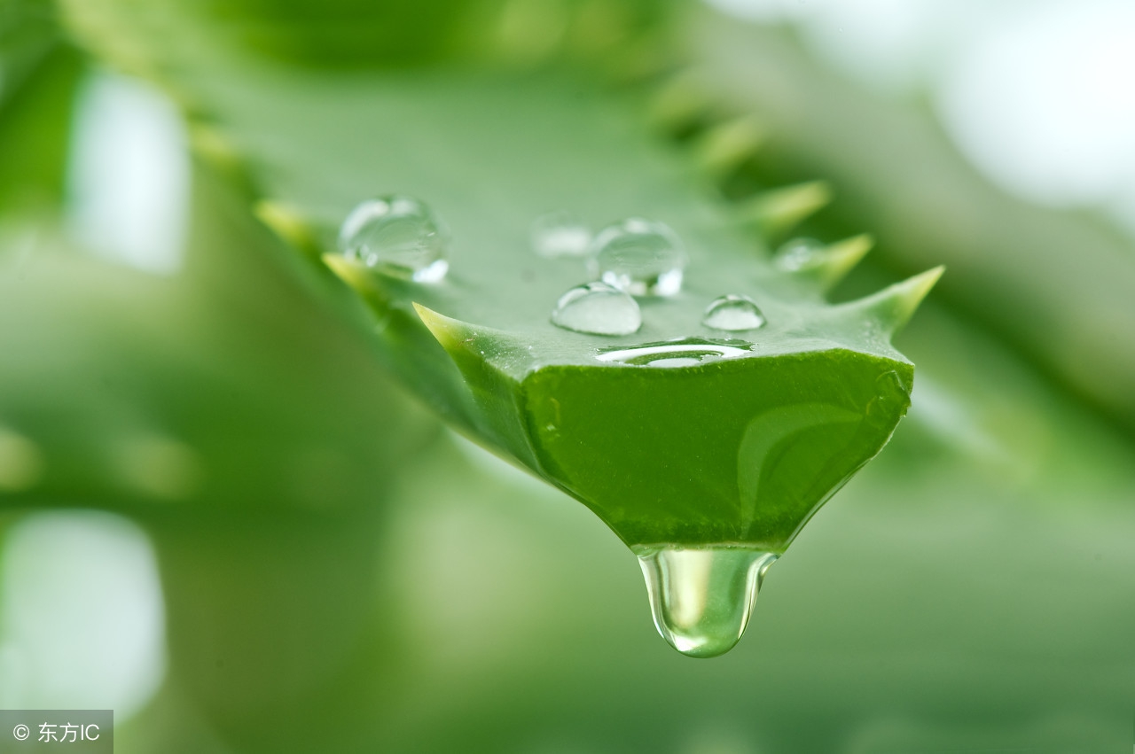 皮肤晒后泛红怎么修复,头皮晒后发红痒怎么办