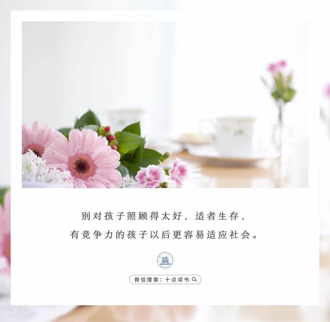 老二为什么比老大长得好看,老二为啥比老大聪明图文