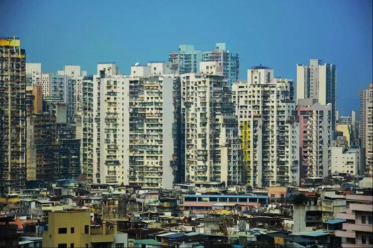 在澳门赌得倾家荡产的人,澳门有多少赌徒