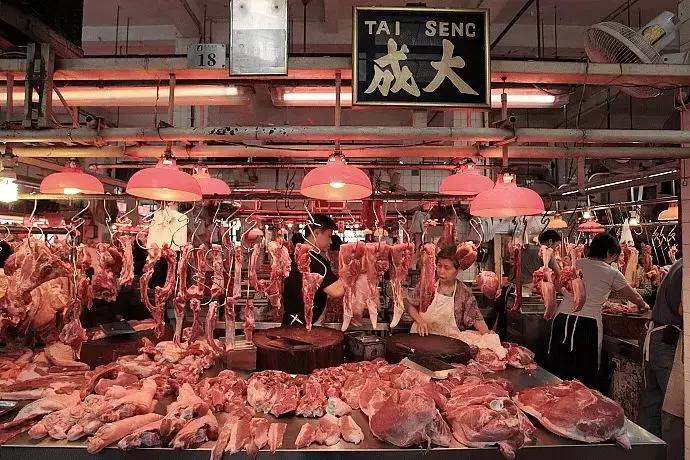 在澳门赌得倾家荡产的人,澳门有多少赌徒