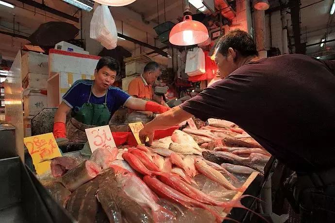 在澳门赌得倾家荡产的人,澳门有多少赌徒