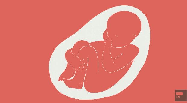 奥巴马双手是川掌吗,奥巴马是不是天生左撇子