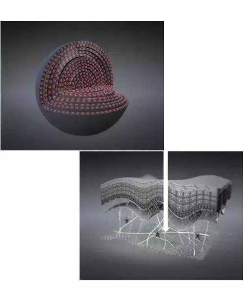 我们为什么要信仰法律,我们为什么信仰马克思主义