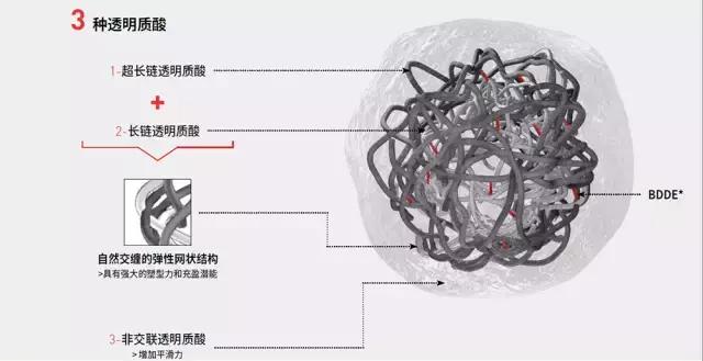 我们为什么要信仰法律,我们为什么信仰马克思主义