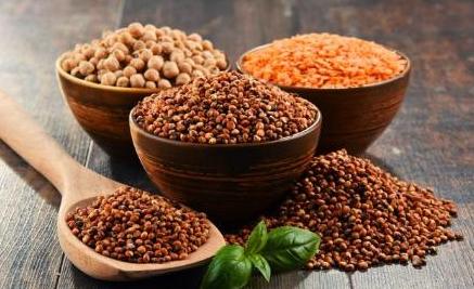 高粱是传统五谷吗,高粱和五谷的区别