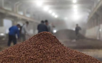 高粱是传统五谷吗,高粱和五谷的区别