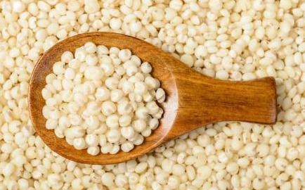 高粱是传统五谷吗,高粱和五谷的区别