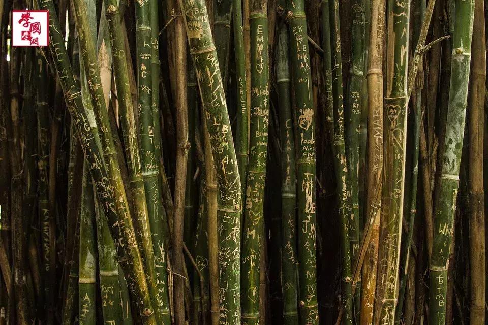 关于竹子的诗句古诗四言绝句,描写竹子的优美的诗句大全集