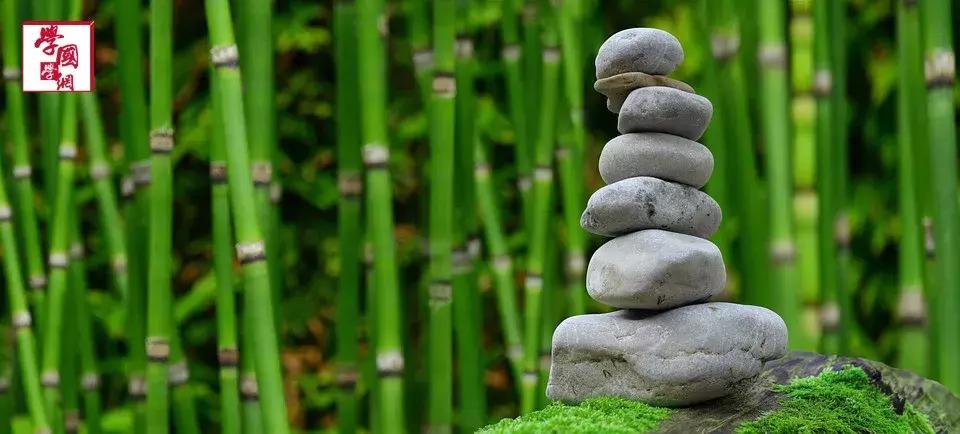 关于竹子的诗句古诗四言绝句,描写竹子的优美的诗句大全集