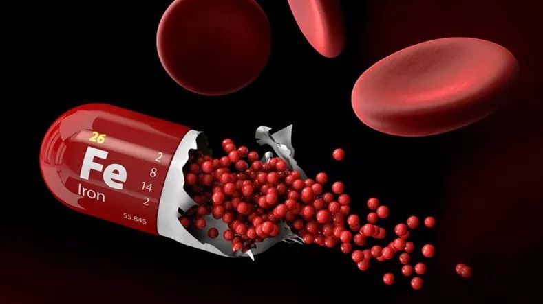 孕妇需要补什么的营养素,孕妇要补充哪些营养素