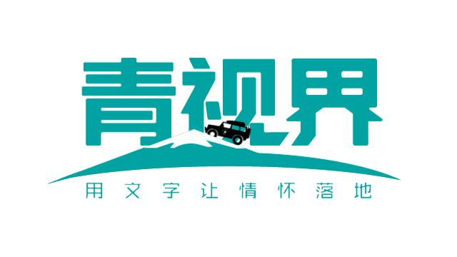 不好！Vvip摔车了！