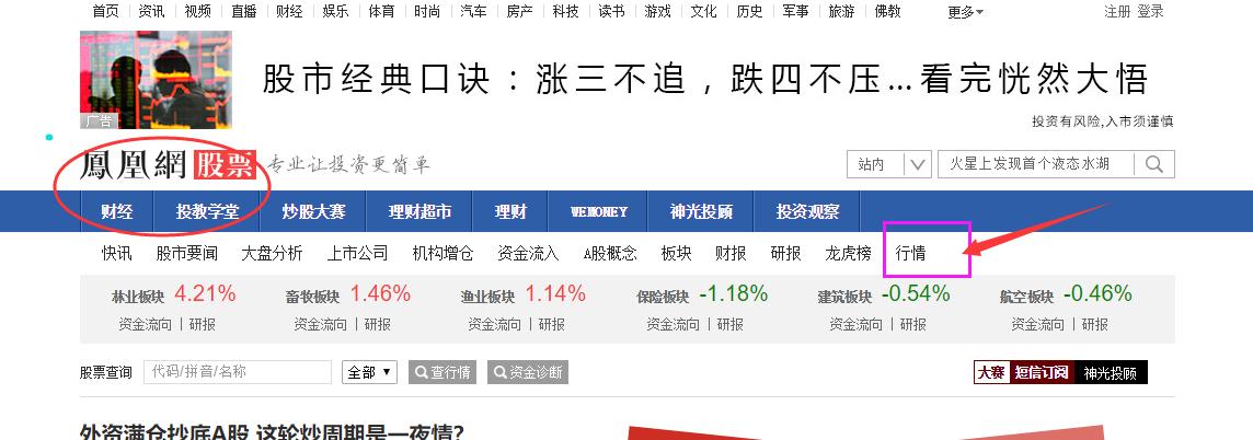 在哪里查看股票的股息,哪些股票有分红和股息